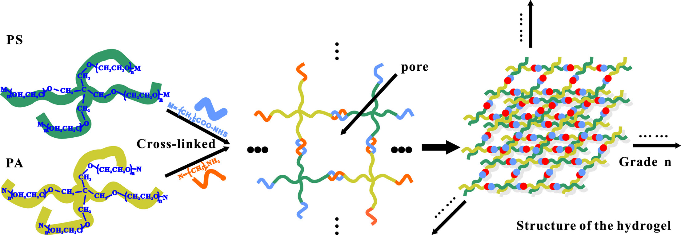 hcd-fragment-detection-kit8.jpg