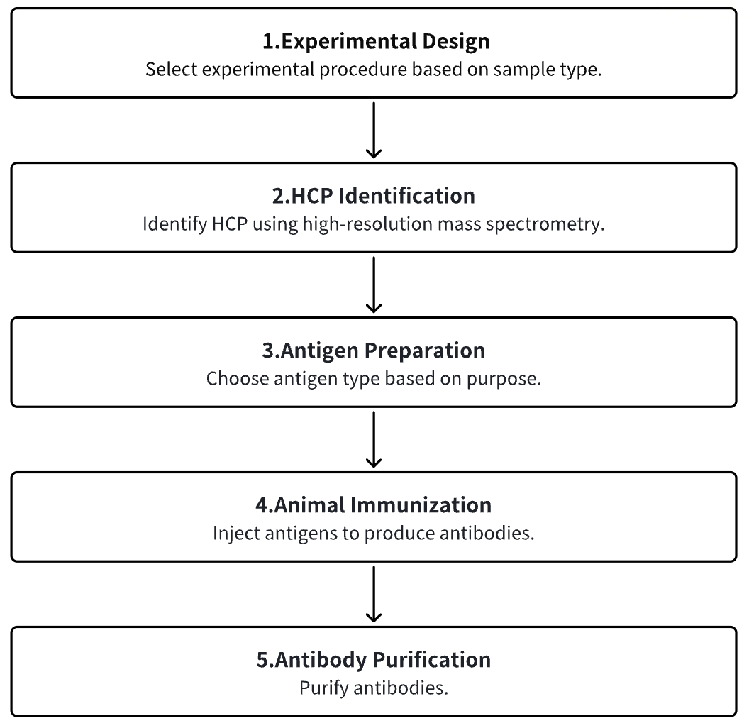 hcp-antibody-development3.png