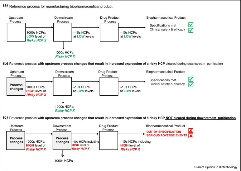 hcp-antibody-development7.png