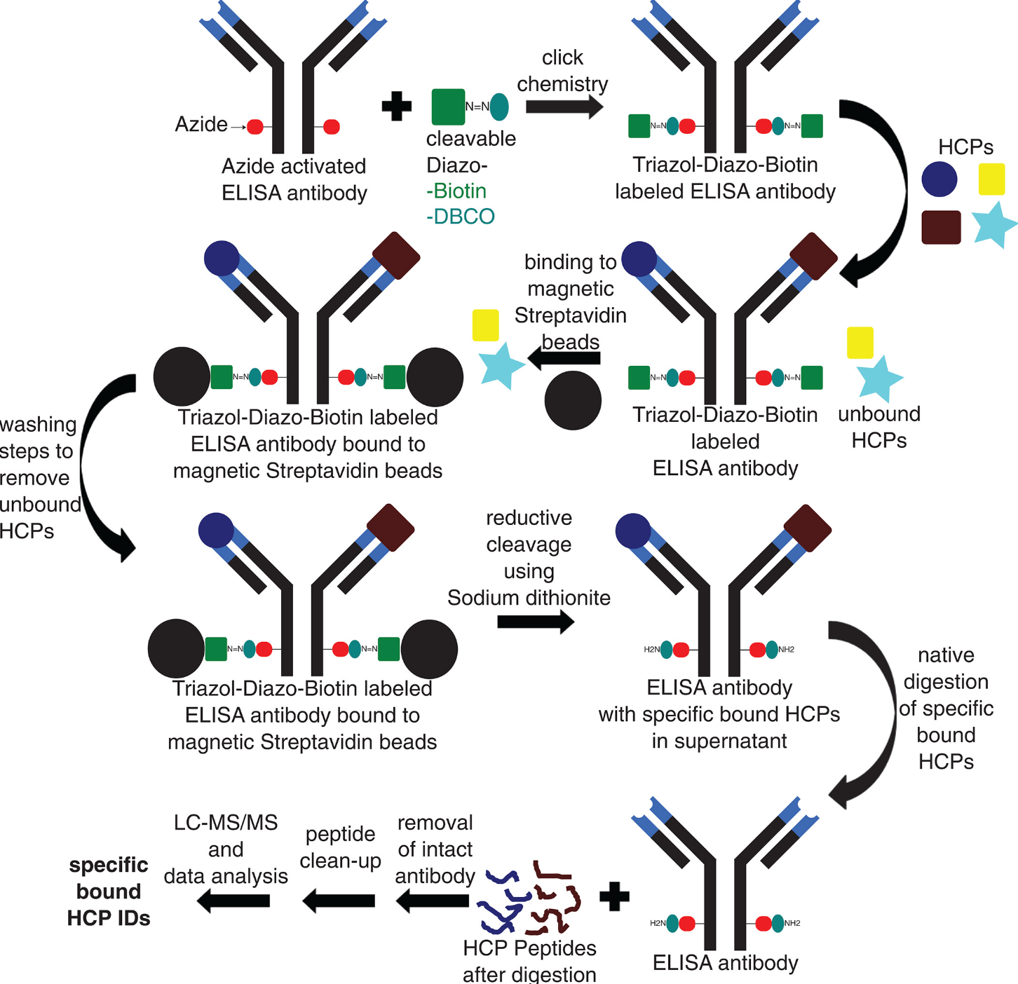 hcp-antibody-effectiveness-analysis10.png