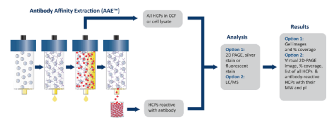 hcp-antibody-effectiveness-analysis4.png