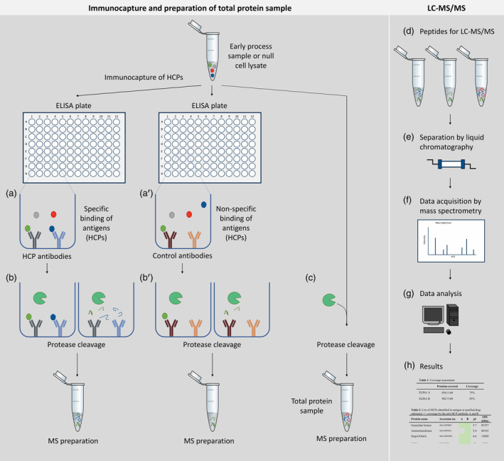 hcp-antibody-effectiveness-analysis7.png