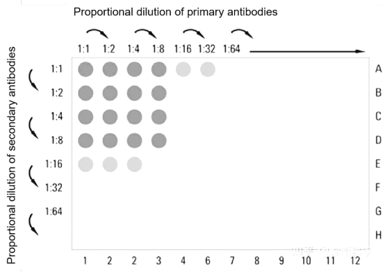 hcp-assay-kit-development3.png