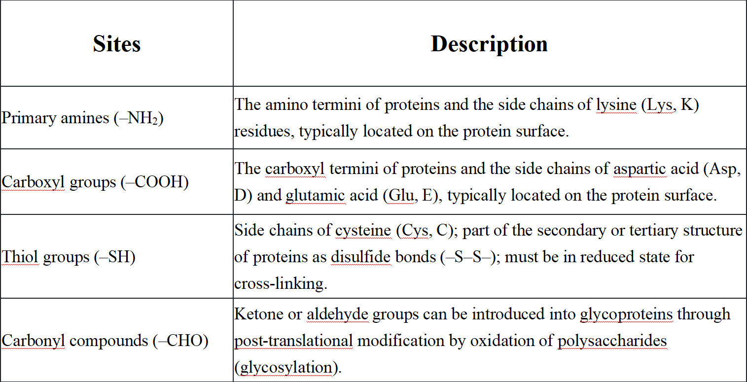 hcp-assay-kit-development9.png