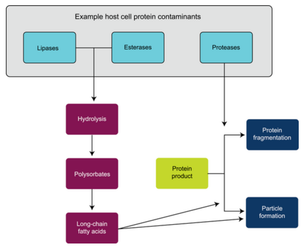 hcp-related-detection1.png