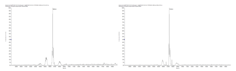 high-resolution-lc-ms-molecular-weight-identification3.png