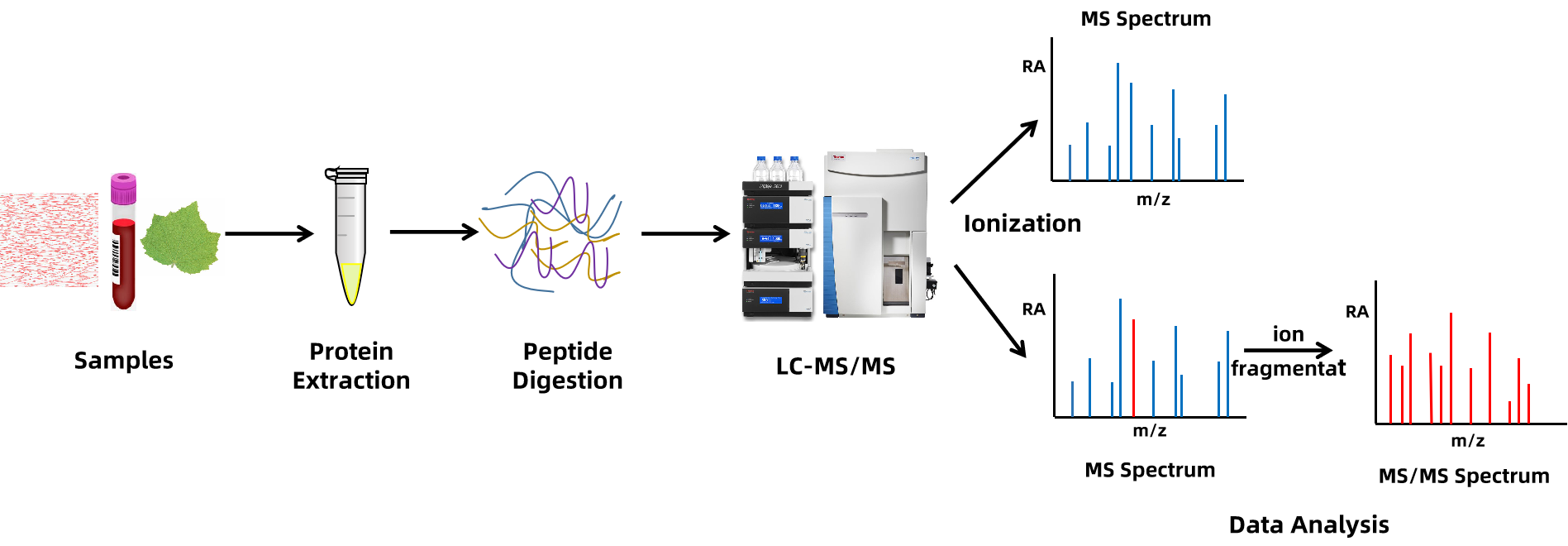 histone-modifications-analysis-service1.png