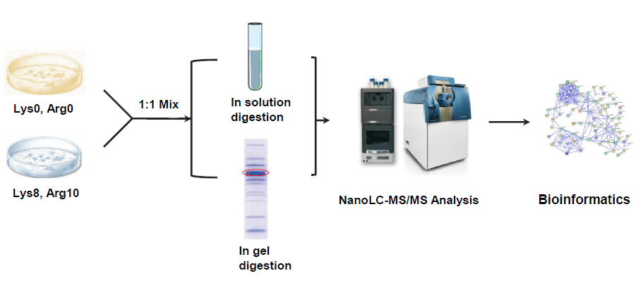 histone-modifications1.png