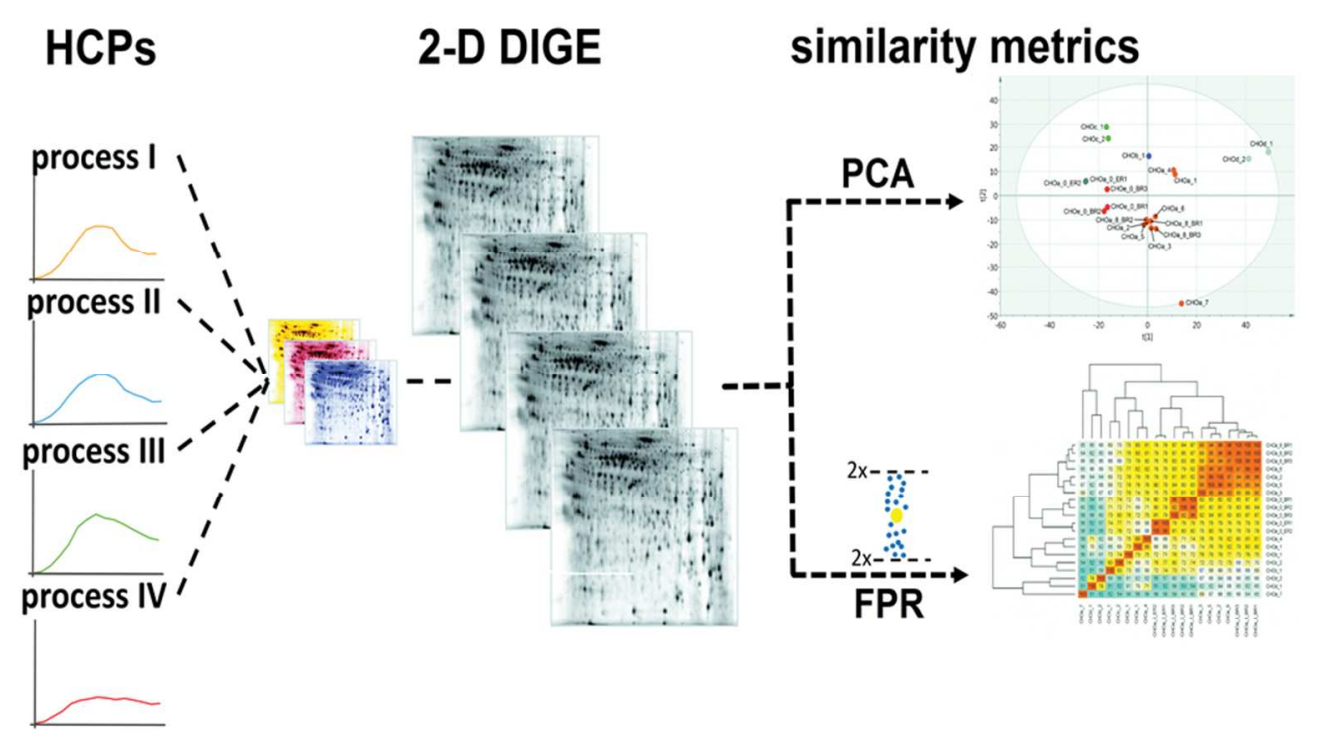 host-cell-protein-hcp-analysis1.png