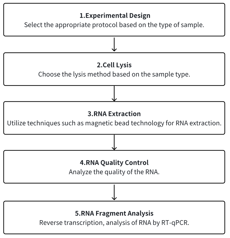 host-cell-residual-rna-detection-kits1.png