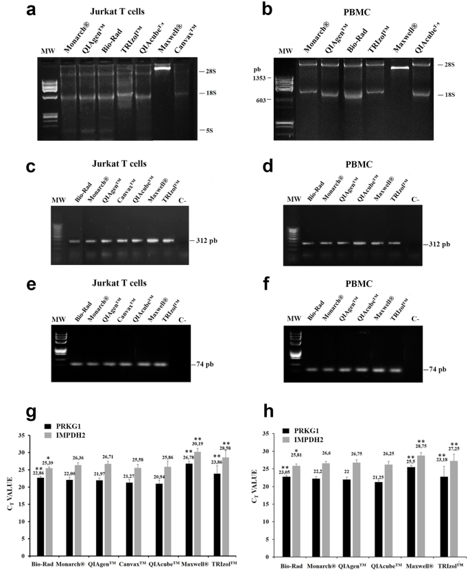 host-cell-residual-rna-detection-kits2.png