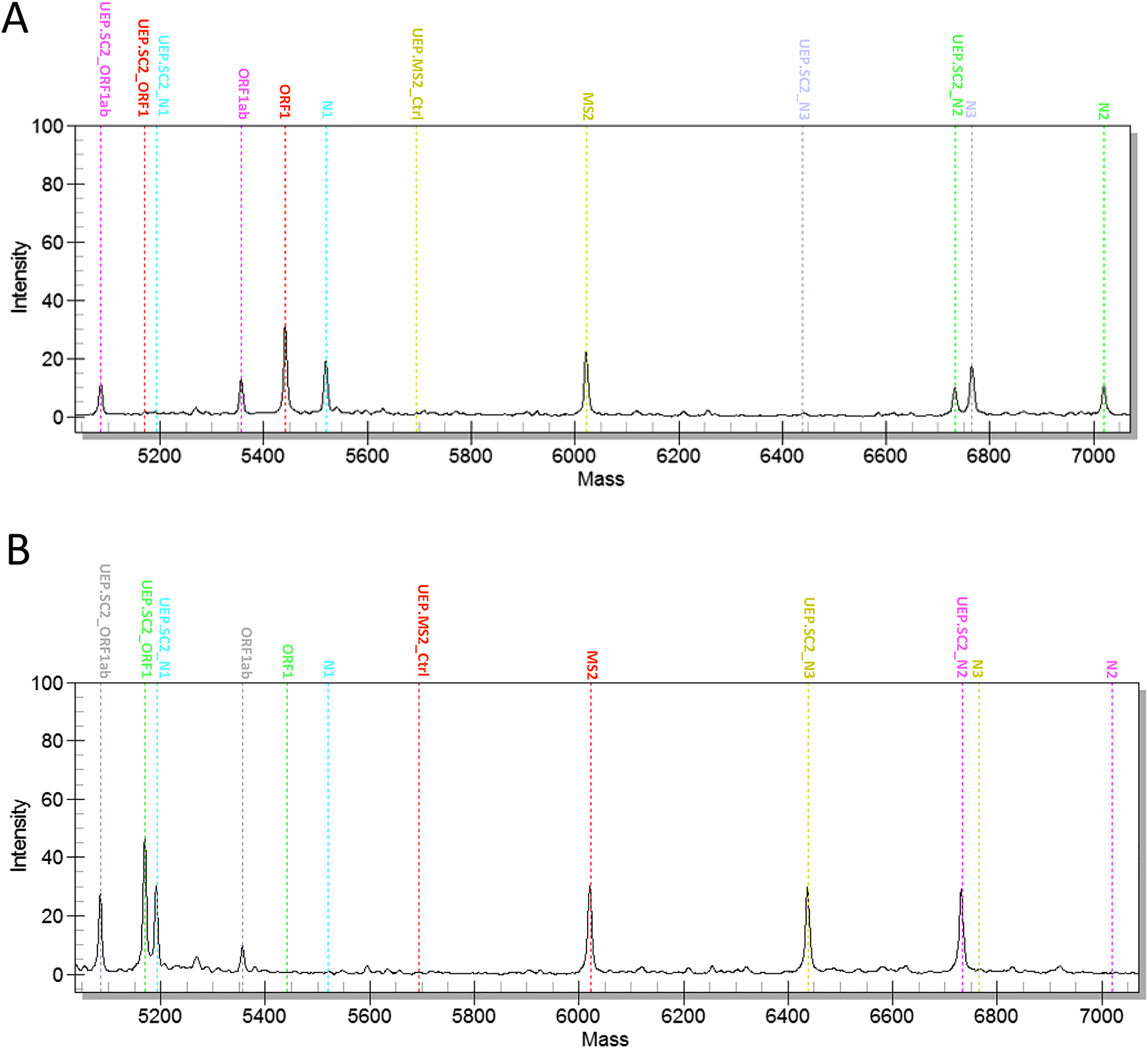 host-cell-residual-rna-detection-kits3.png