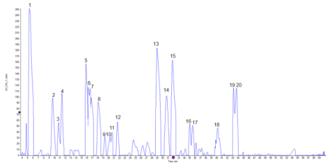 hplc-based-peptide-mapping-assays3.png