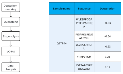 hydrogen-deuterium-exchange-mass-spectrometry-hdx-ms3.png