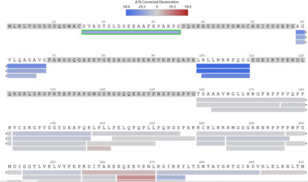 hydrogen-deuterium-exchange-mass-spectrometry-hdx-ms5.png