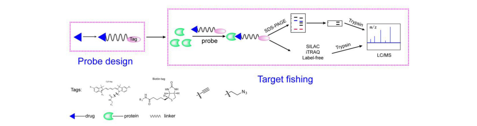 identification-and-validation-of-small-molecule-drug-target1.PNG