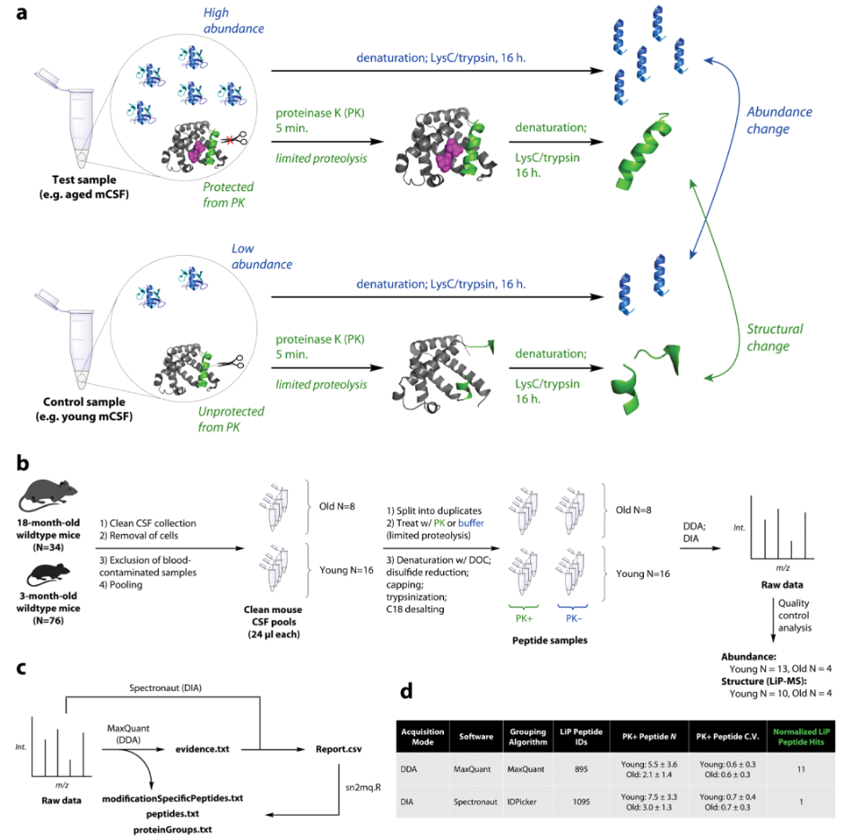 identification-and-validation-of-small-molecule-drug-target12.PNG