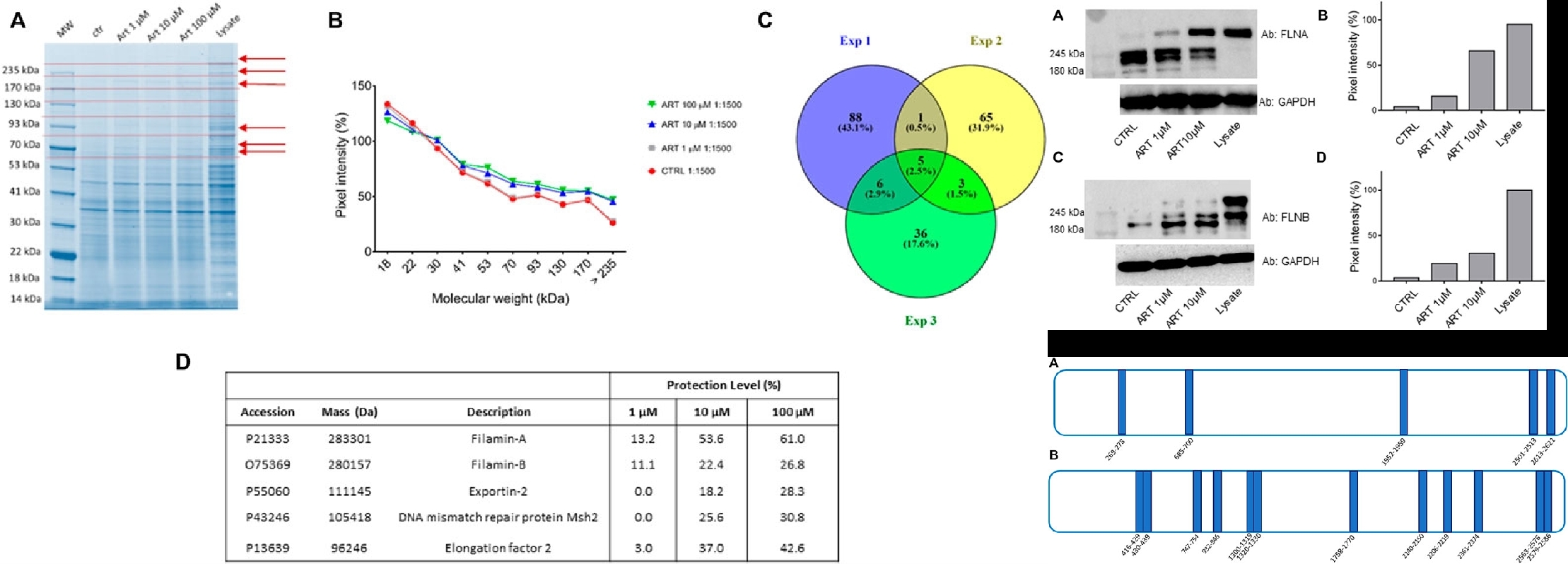 identification-and-validation-of-small-molecule-drug-target13.jpg