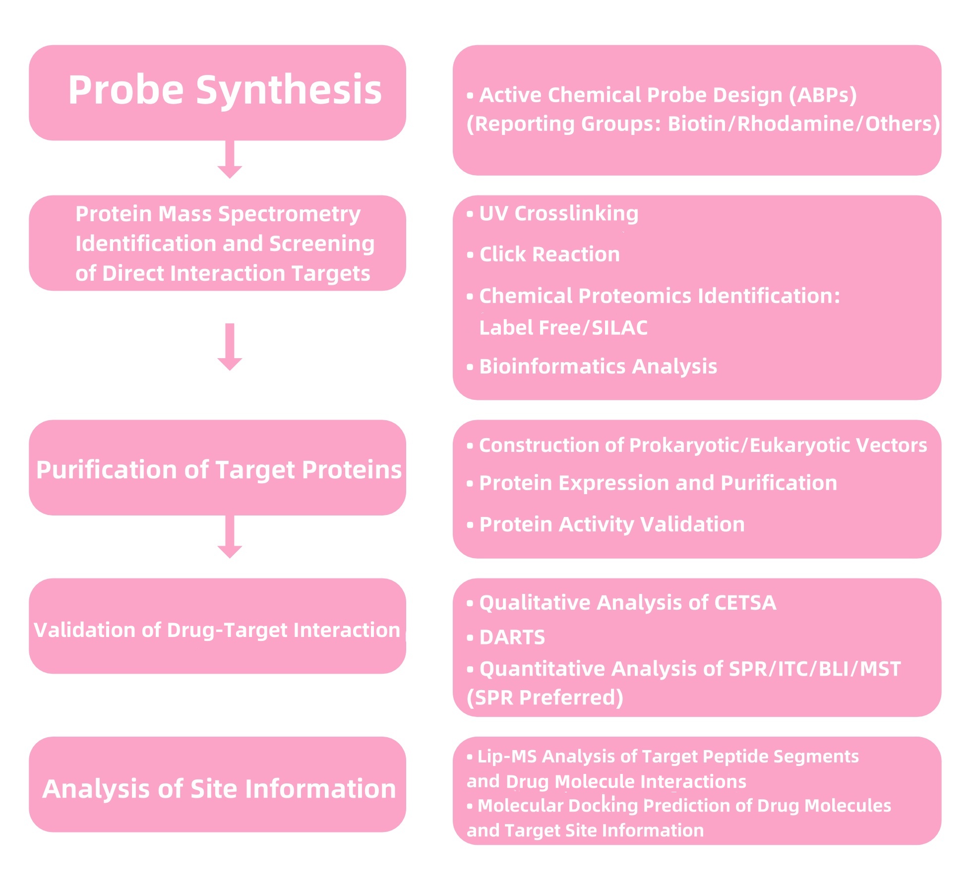 identification-and-validation-of-small-molecule-drug-target2.jpg