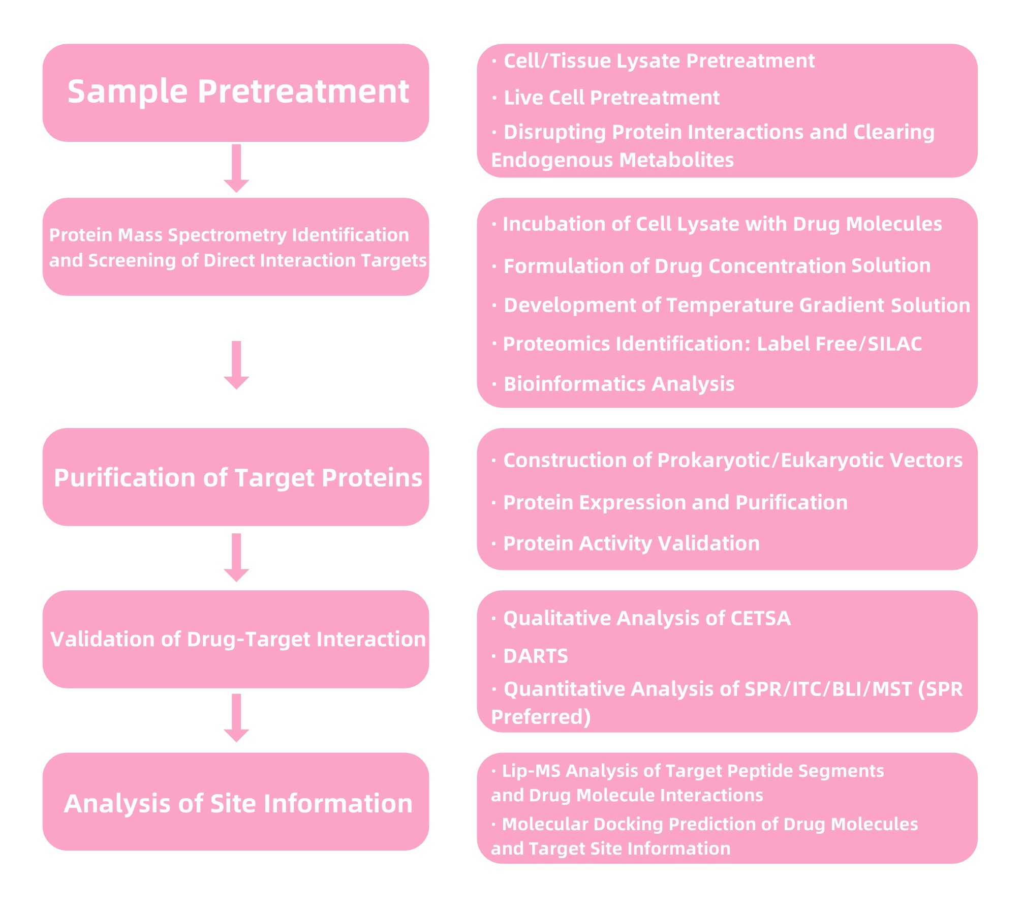 identification-and-validation-of-small-molecule-drug-target4.jpg