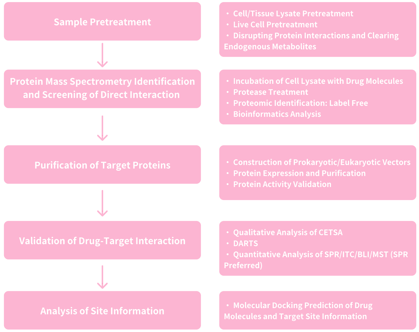 identification-and-validation-of-small-molecule-drug-target6.png