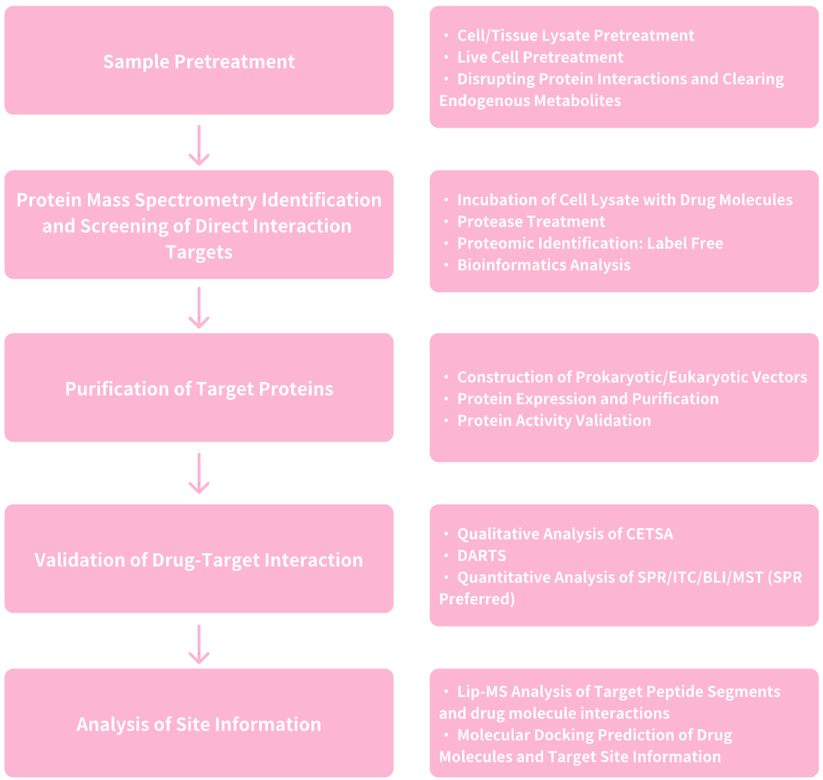 identification-and-validation-of-small-molecule-drug-target8.png