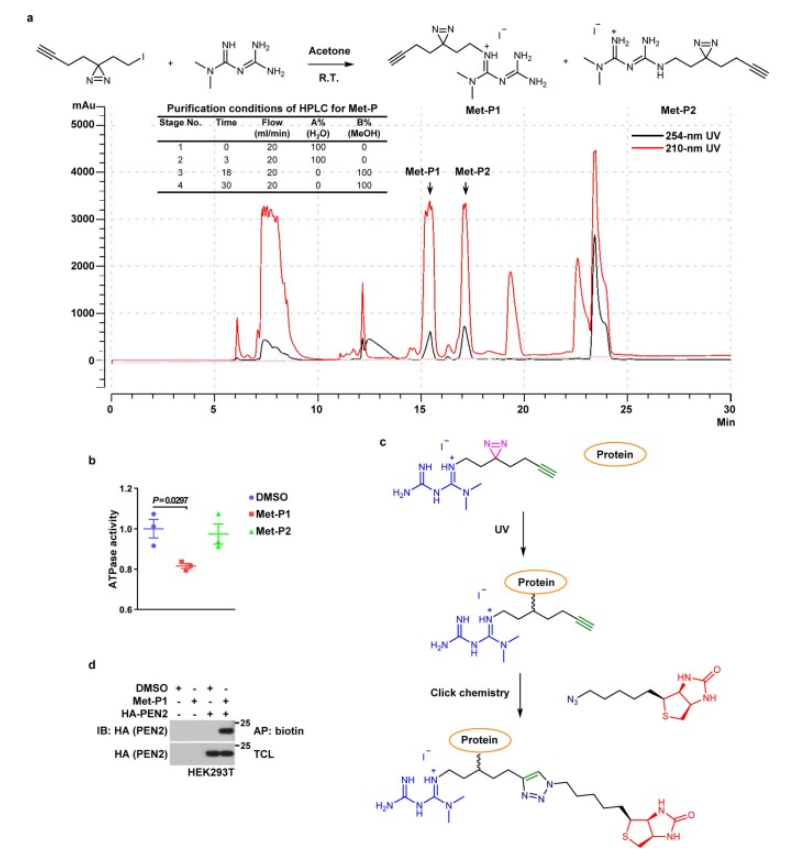 identification-and-validation-of-small-molecule-drug-target9.PNG