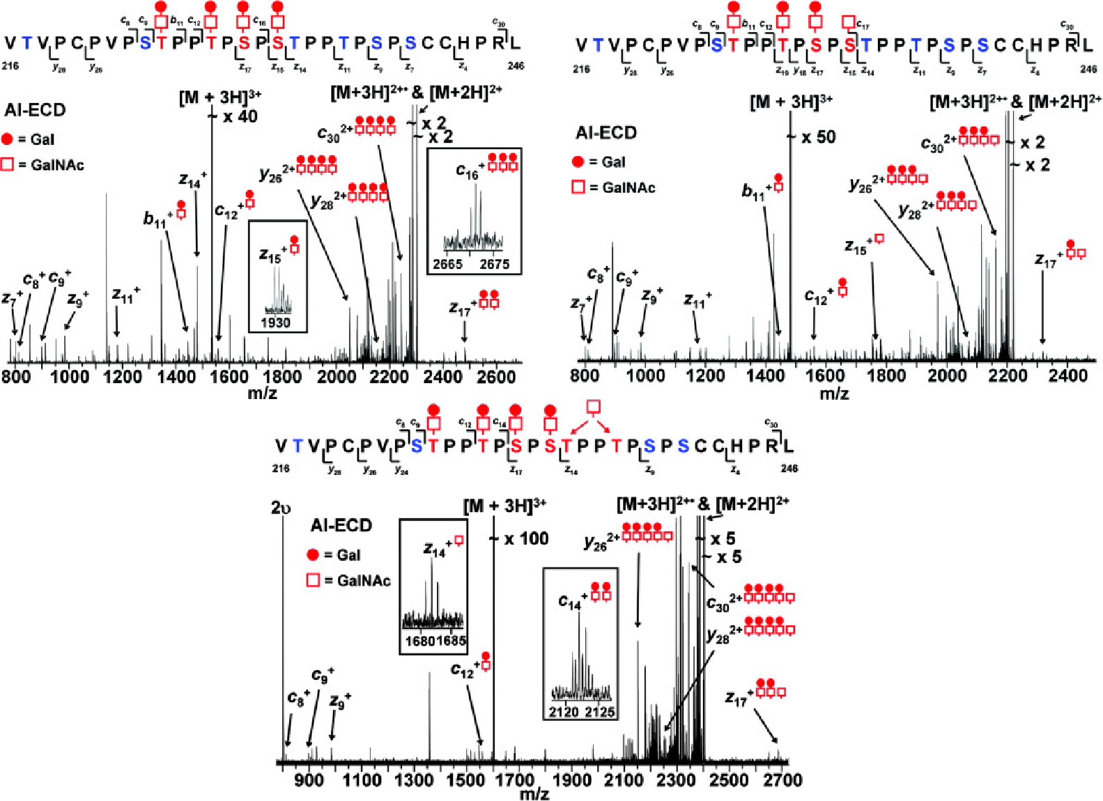 iga-antibody-sequencing-service1.png