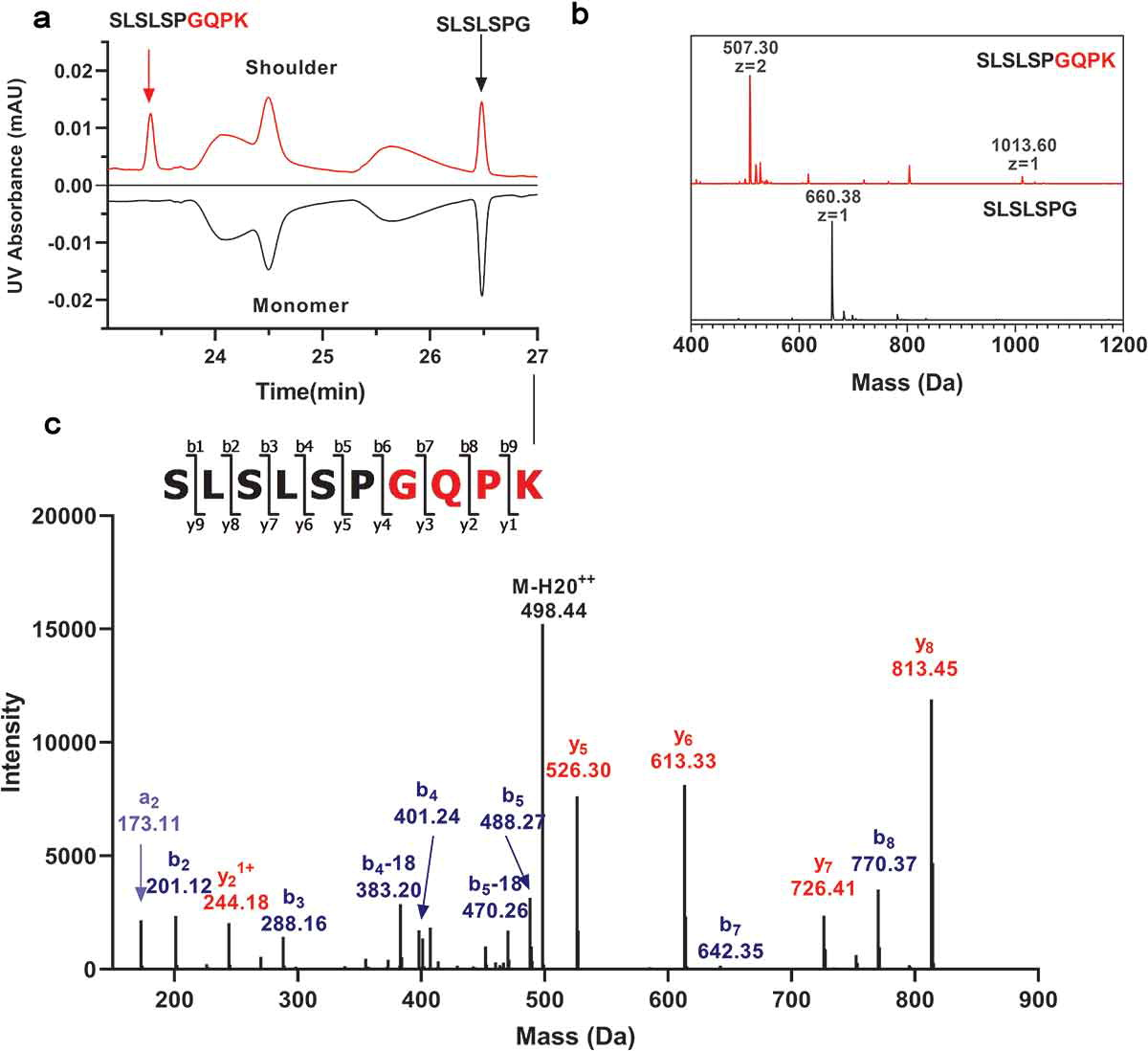 igg-antibody-sequencing-service2.png