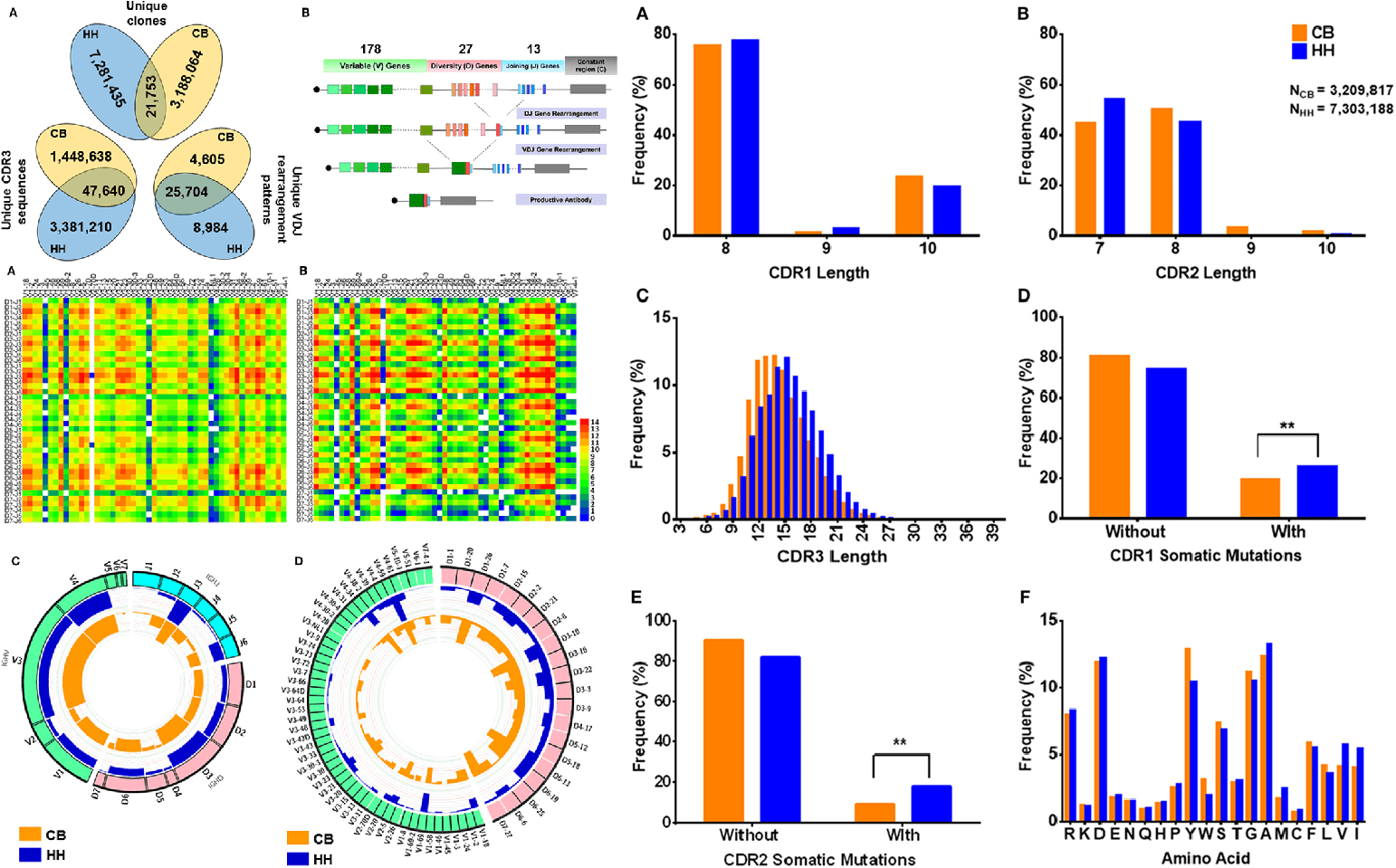 igm-antibody-sequencing-service1.png