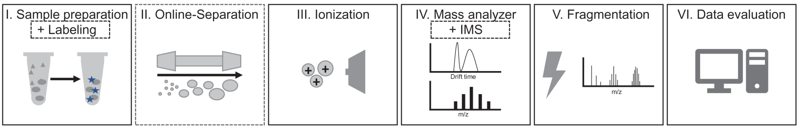 intact-ms-technology2.png