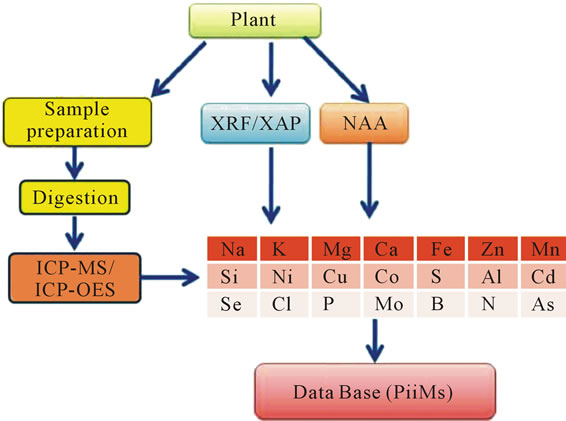 ion-omics1.png