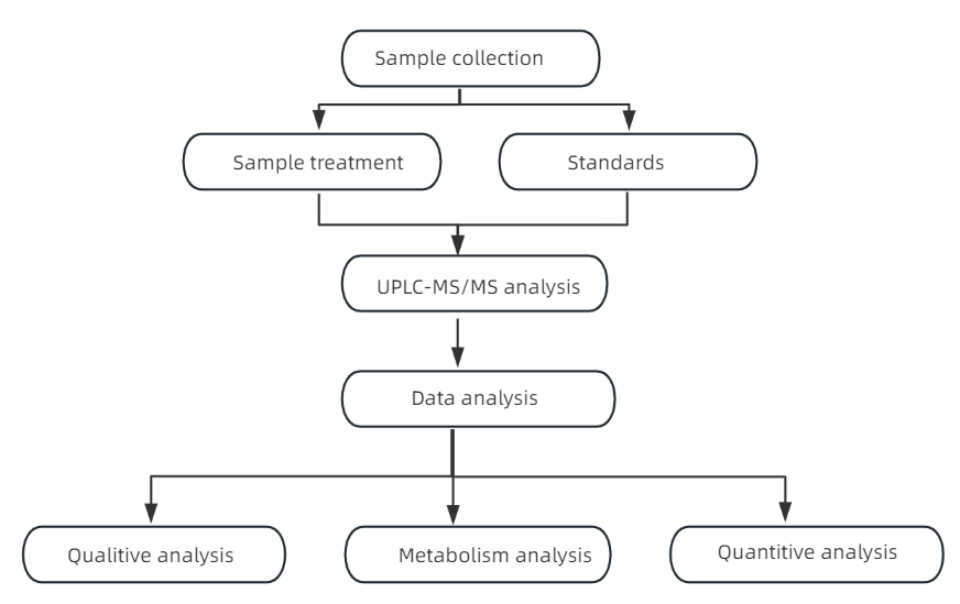 isoflavonoids-analysis-service1.PNG