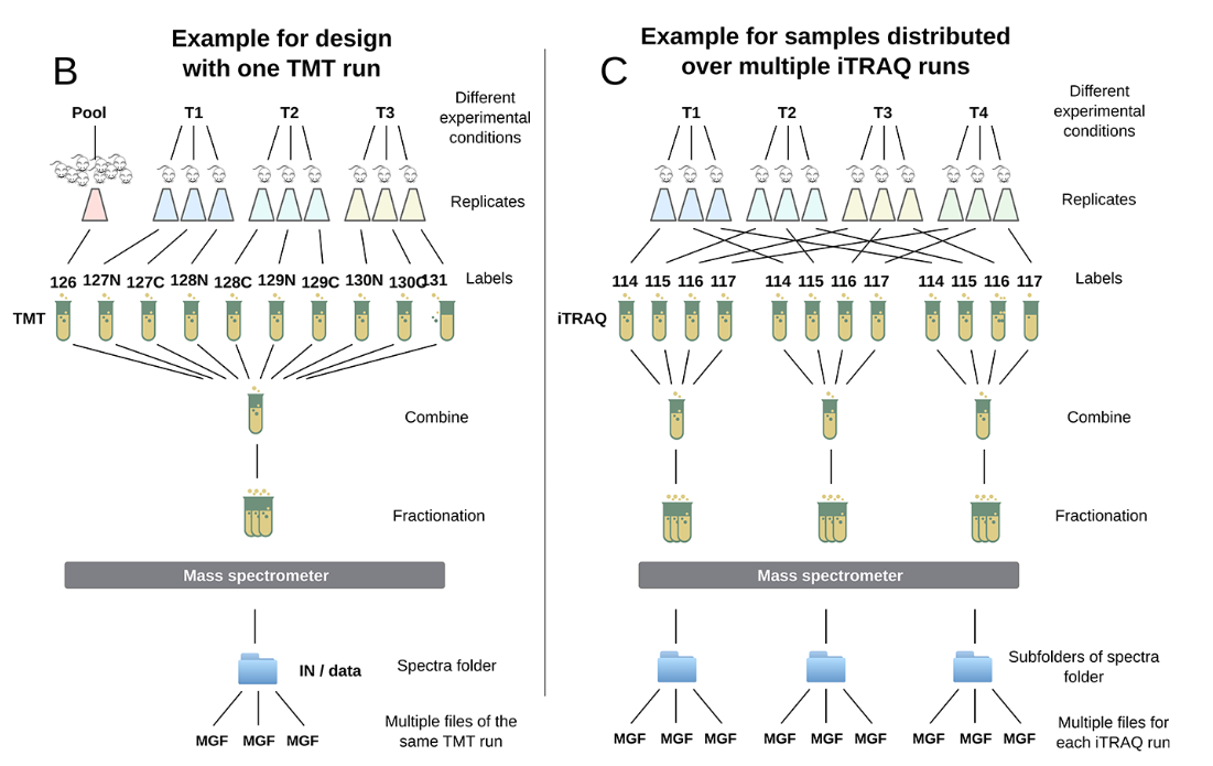 iTRAQ/TMT Quantitative Proteomics-MtoZ Biolabs