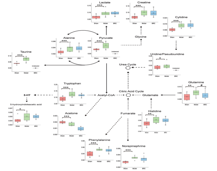 kegg-pathway-analysis1.png