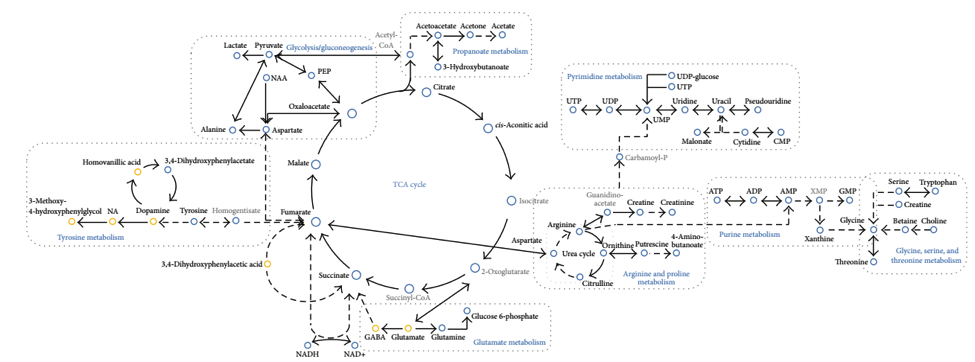 kegg-pathway-analysis2.png