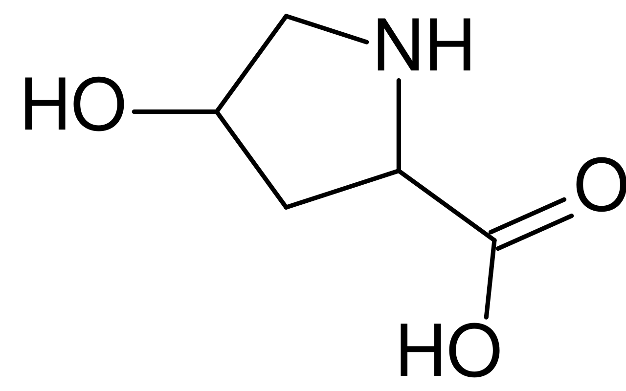 l-4-hydroxyproline-analysis-service1.png