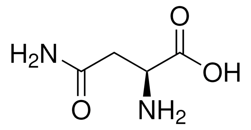 l-asparagine-anhydrous-analysis-service1.png