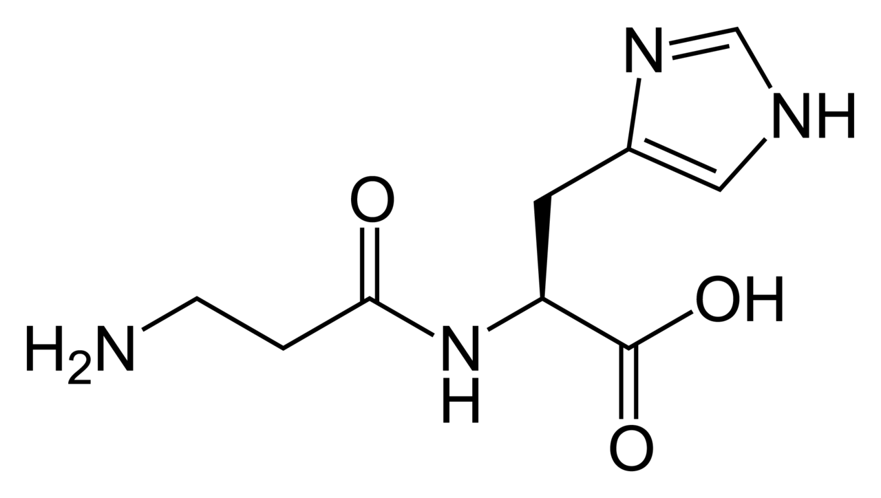 l-carnosine-analysis-service1.png