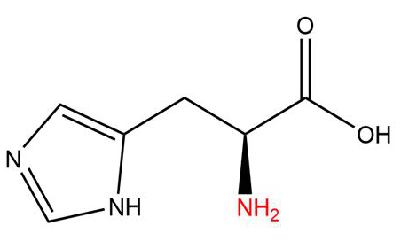 l-histidine-analysis-service1.png