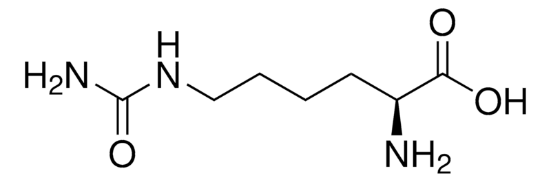 l-homocitrulline-analysis-service1.png