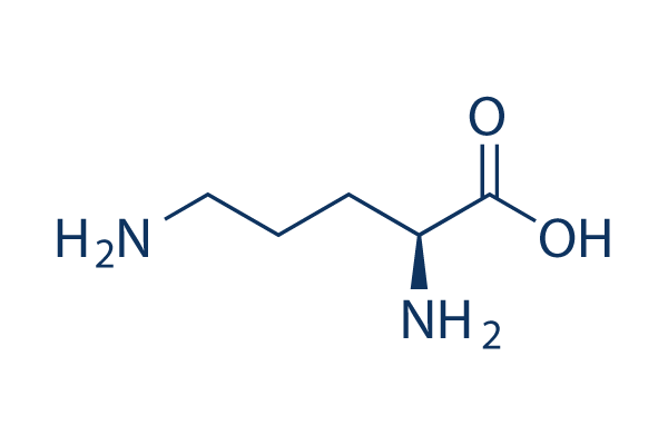 l-ornithine-analysis-service1.webp