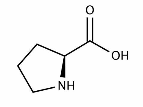 l-proline-analysis-service1.jpg