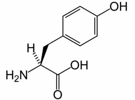 l-tyrosine-analysis-service1.jpg