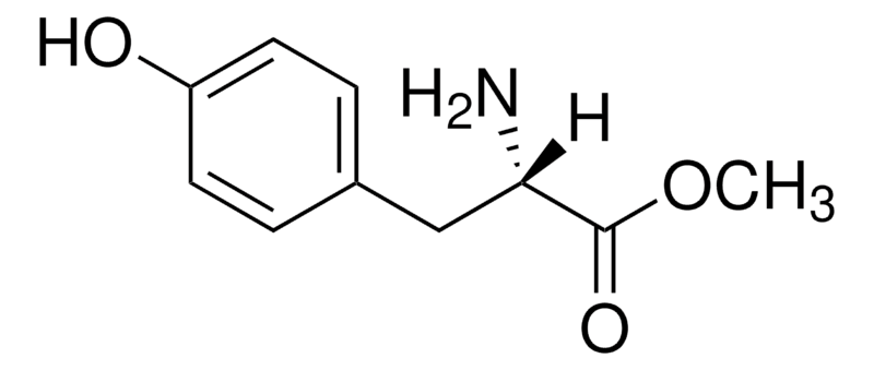 l-tyrosine-methyl-ester-analysis-service1.png