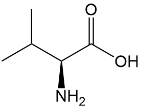 l-valine-analysis-service1.gif