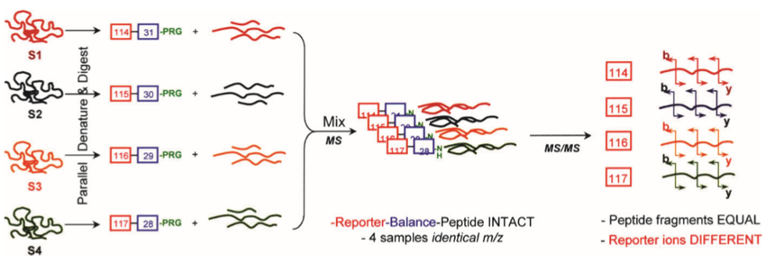 label-based-protein-quantification-technology1.png