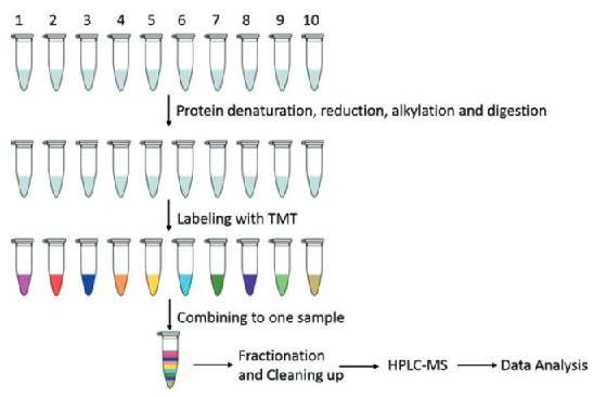 label-based-protein-quantification-technology2.png