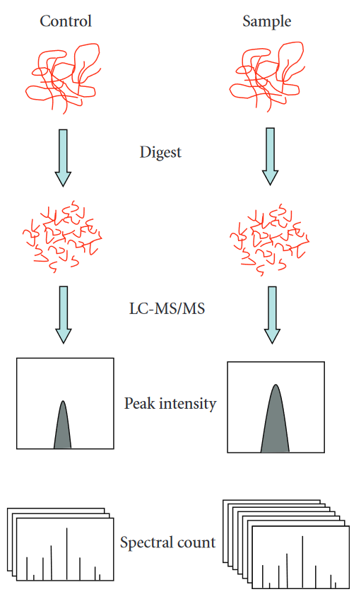 label-free-analysis-service1.PNG