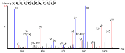 lc-ms-ms-determination-of-protein-c-terminal-sequence4.png